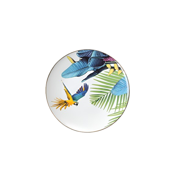 C060-2 Rossetti Amazonia Bird Dinner Plate (26.7cm) - Image 1