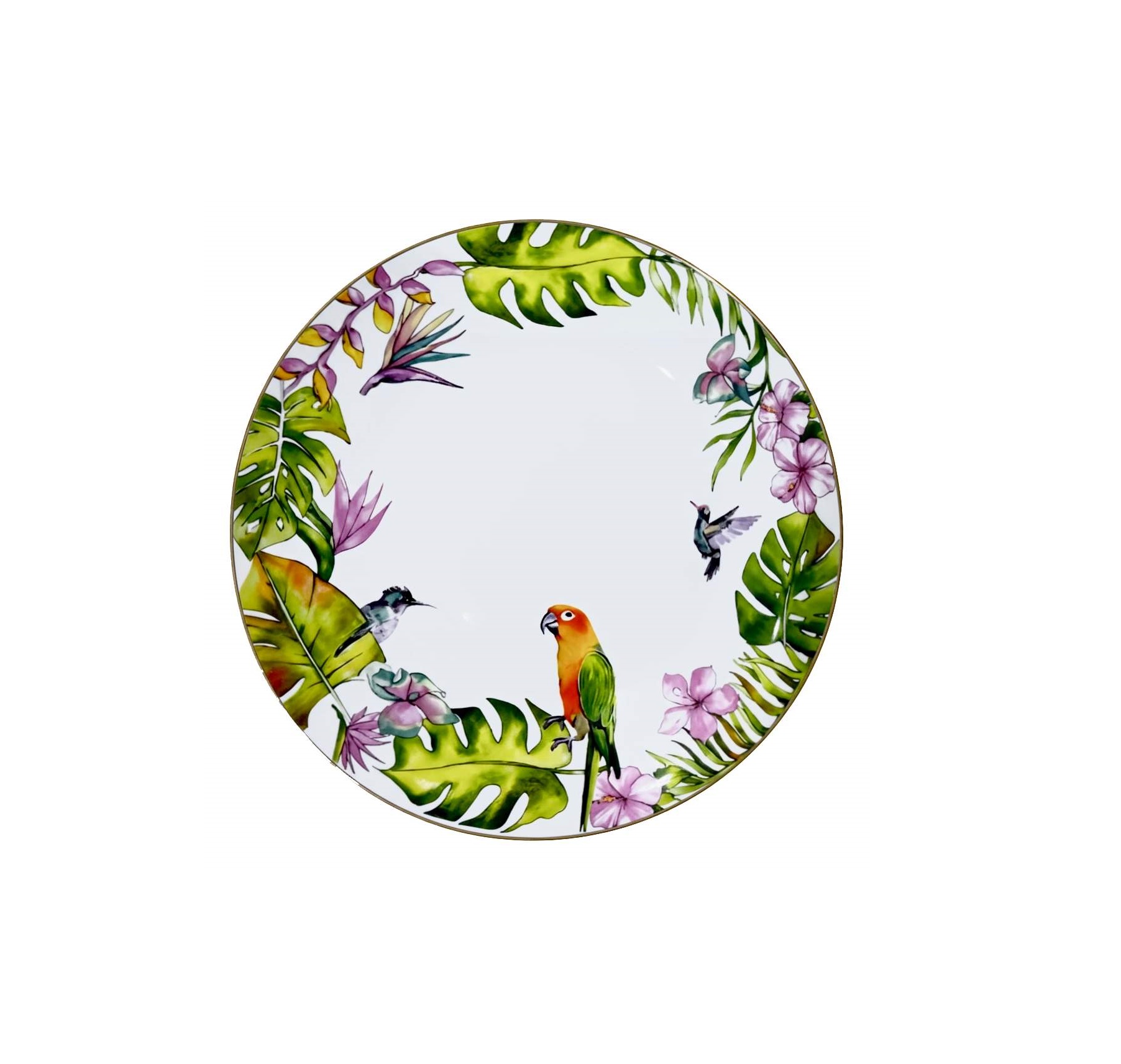 C060-3 Rossetti Amazonia Bird Dessert Plate (8 Inch) - Image 1